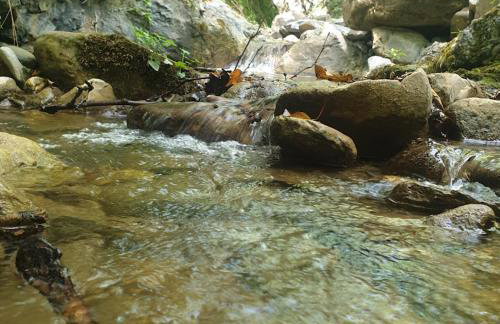 Kleitor Stone Villa-Peloponnese Getaway - Foto 70