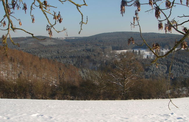 Grand Villa With Bubble Bath - Photo 60