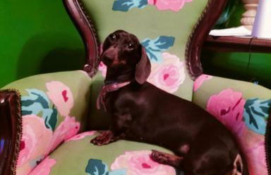 Casa Mariuccia - Photo 11