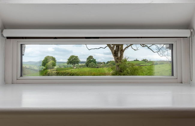 Bryn Eithin Cottage Far From the Madding Crowd - Foto 7