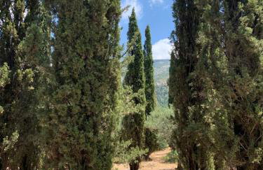 Lillian’s House - Foto 75