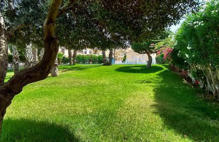 Villa del Sol - Photo 15