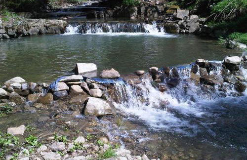 Agropensjonat Tramp z góralskim spa - Foto 15