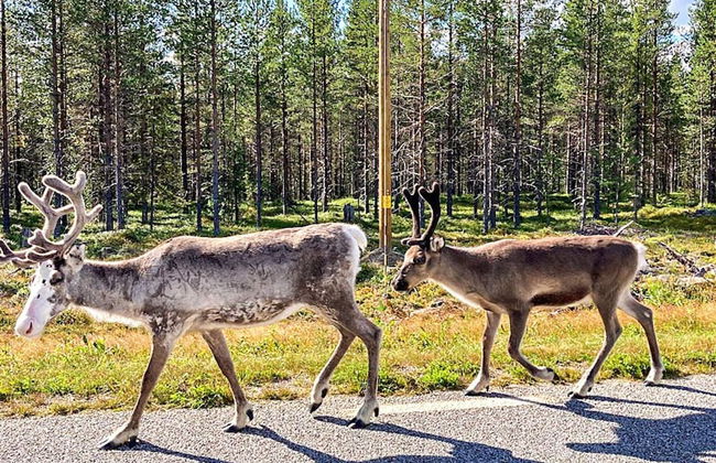 6 Person Holiday Home in Jokkmokk - Foto 2