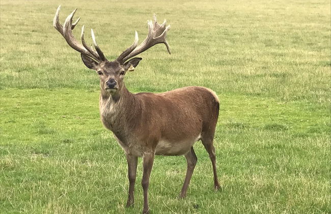 Mauldslie Hill Cottage - Photo 8