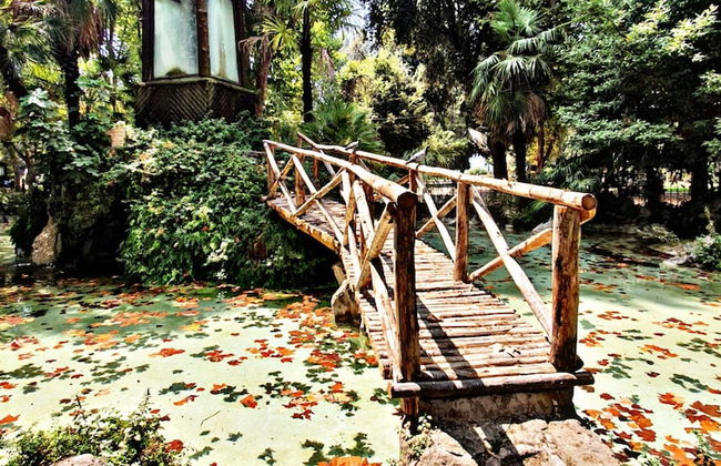 Fabio Massimo Guest House - Photo 61