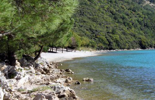 Apartments with a parking space Zajci, Central Istria - Sredisnja Istra - 14303 - Foto 6