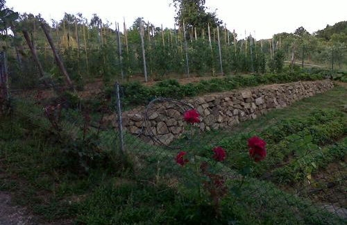 PODERE TORRICELLE 69B Pancole Gr, seaview infinity pool, jacuzzi, sauna, exclusive villa with 2 bedrooms for 4 - If you total 5 or 6 people there is an independent suite in main villa with private ensuite bathroom, kitchenette and garden dining area - Foto 70