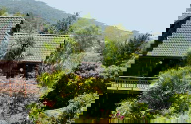 Big Tree House Lodge - Foto 38