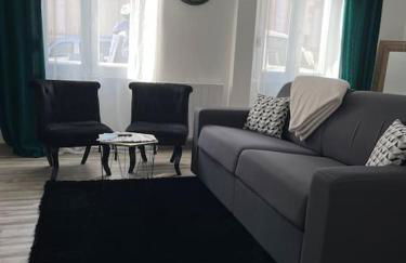 Colmar,appart chaleureux 2 pas centre avec jardin - Foto 18