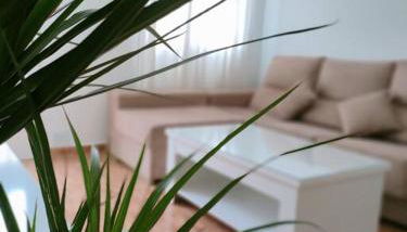 Casa en Vilagarcía de Arousa - Foto 4