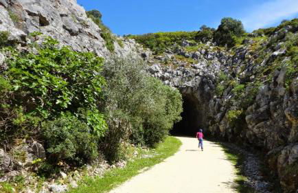 Casa Dos Vales 11 - Foto 49