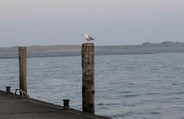 Ferienwohnung Nebelhorn in Dagebüll - Foto 31