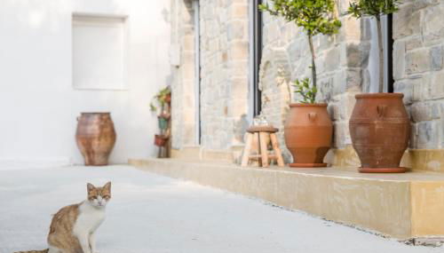 Villa Mira - Photo 3