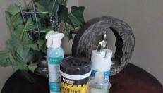 Authentic Treme Cottage Home - Photo 2