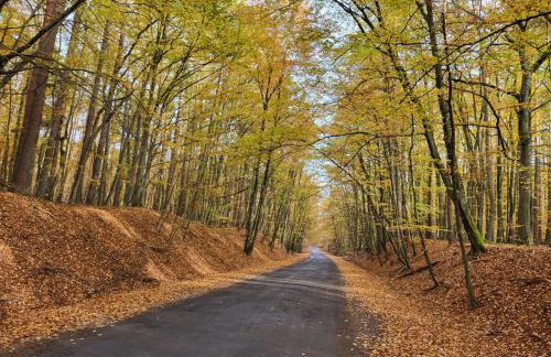 Apartamenty Promyk Wisełka - Foto 76