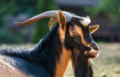 The Cottage at Highland Farms - Foto 24