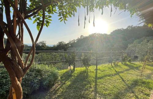 Agriturismo Il Sorbo Appartamento Lavanda - Foto 14