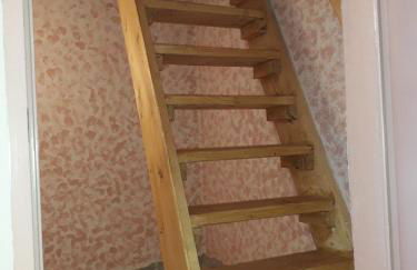 Rhumeblume - Foto 15