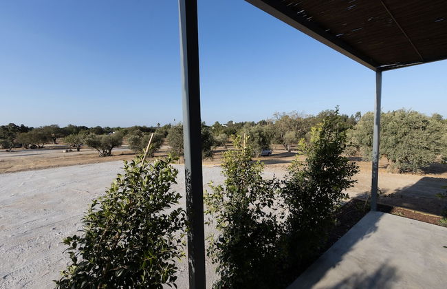 Quinta da Amendoeira - The Farmhouse - Photo 70