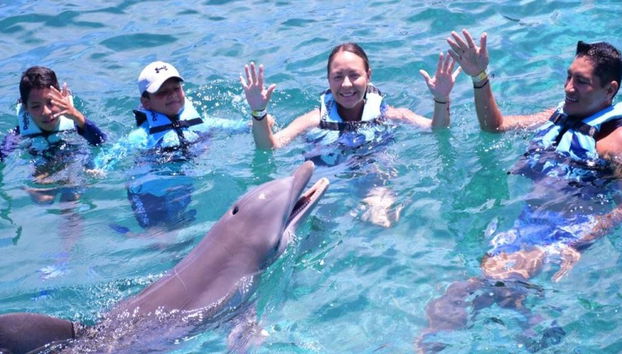 Aventura de Nado com Golfinhos no Parque Aquaventuras - Foto 4