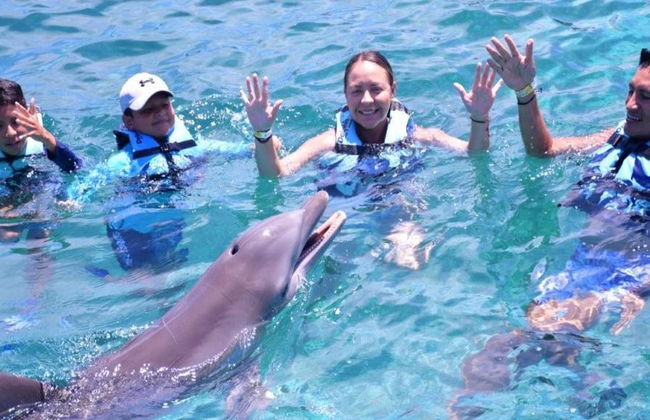 Delfin Schwimm-Abenteuer in Grand Sirenis Akumal-Tulum - Foto 6