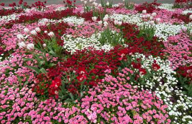 Appartementhof Stadler - Foto 55