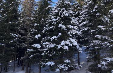 tegliohomevaltellina - Foto 58