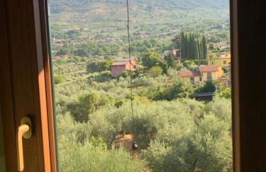 Casale Ugo e Letizia - Foto 36