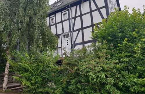 Neu Gemütliche Ferienhaus mit 3 Ferienwohnungen "Max " , " Leonore " und "Beatrice" - Foto 19