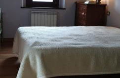 Un sogno nel bosco - Foto 16