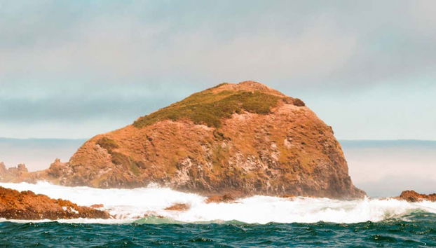 Chacao, Ancud & the Beaches of Chiloé Trip - Foto 4