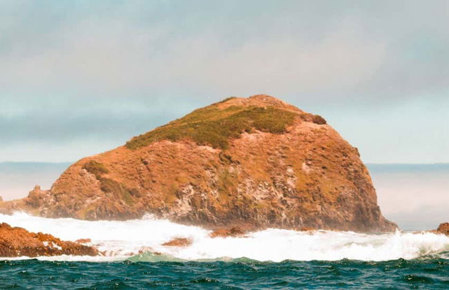 Chacao, Ancud et les plages de Chiloé - Photo 4