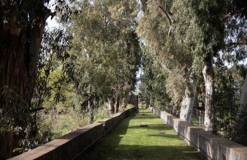 Parco Statella - Foto 51