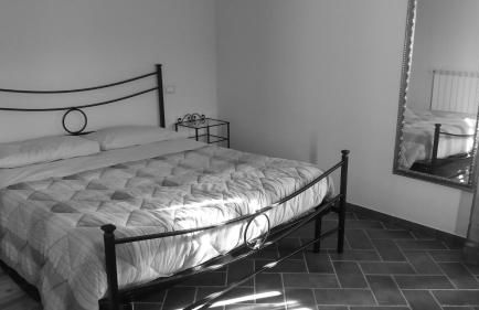 Viale dei Ciliegi - Foto 19