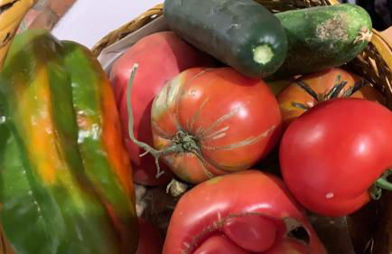 La Apañaora - Foto 34