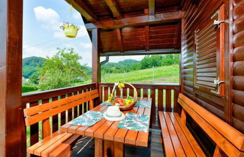 Beautiful Home In Radakovo With Sauna - Photo 19