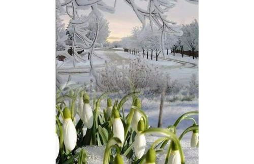 Holiday home with 8 bedrooms - Foto 37