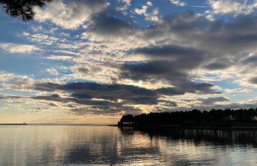 App Sorgo - Photo 60