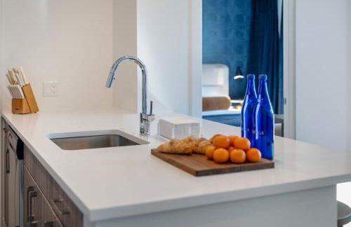 Hyatus Luxury Residences Boston South Bay Designer Collection - Photo 35