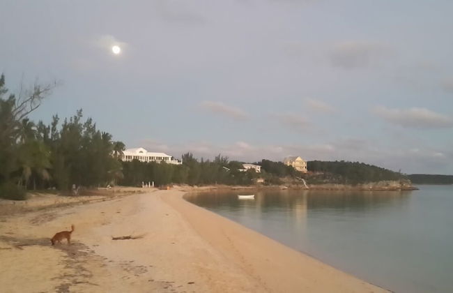 Sir Charles Guest House - Foto 45