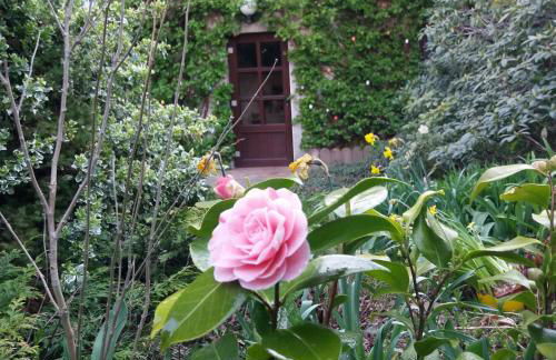 Appartement auf Rügen - Foto 80
