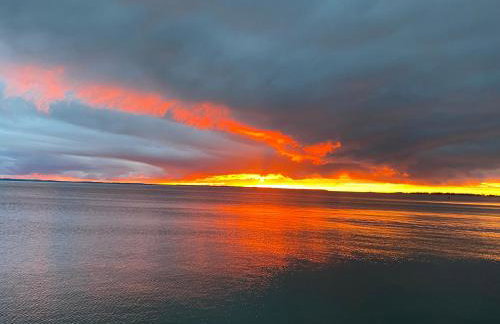 Tiny House at Piney point - Photo 42