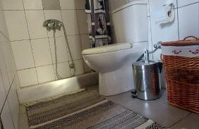 homonatura petrinum - Foto 16