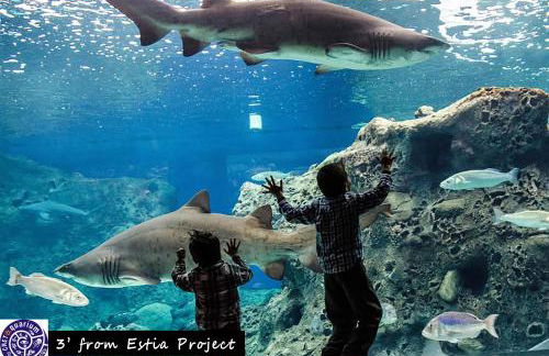 Estia Project, Pool - Billiards - Jacuzzi - Foto 46