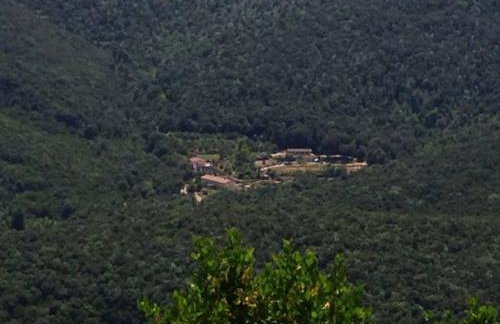 L' Amabile Geko - Foto 21