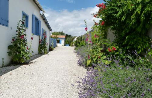 Netmust vacances - Foto 50