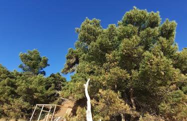 Apartment Bianca Mljet Komfort mit Meerblick - Foto 29