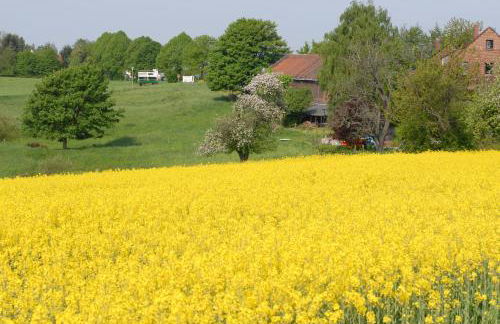 Apartment close to nature,airport, fair - Foto 30