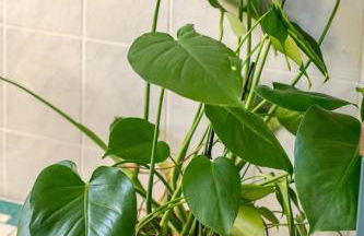 Modernes Studio in Berlin Weissensee - Foto 17